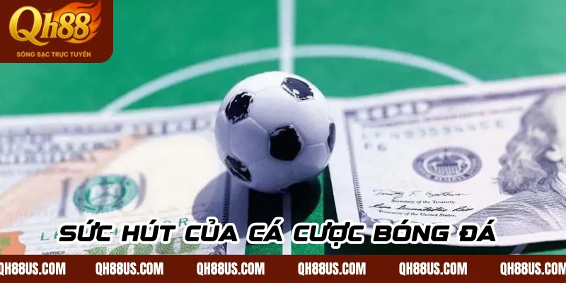 Sức hút của cá cược bóng đá 